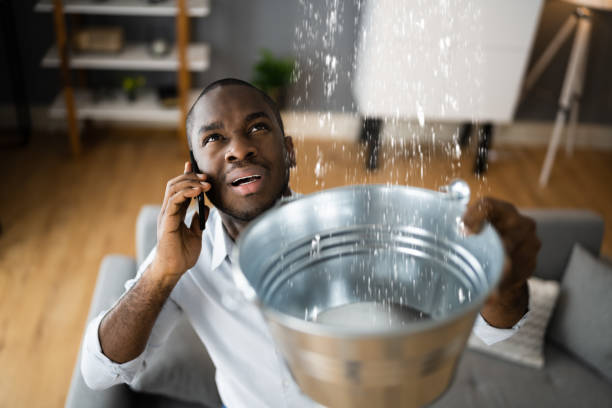 Best Residential water damage restoration  in West Park, FL