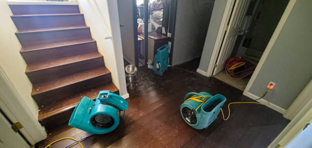 Best Flooded house restoration  in West Park, FL