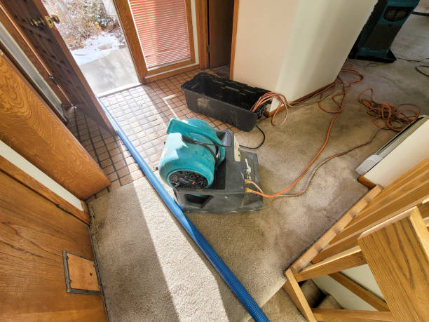 Best Local water damage restoration  in West Park, FL