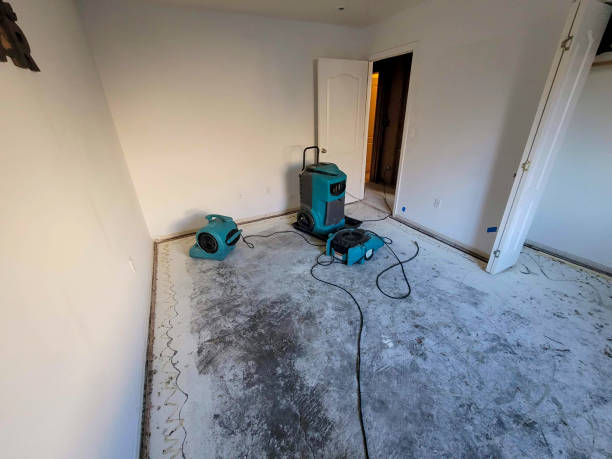 Best Water damage cleanup near me  in West Park, FL