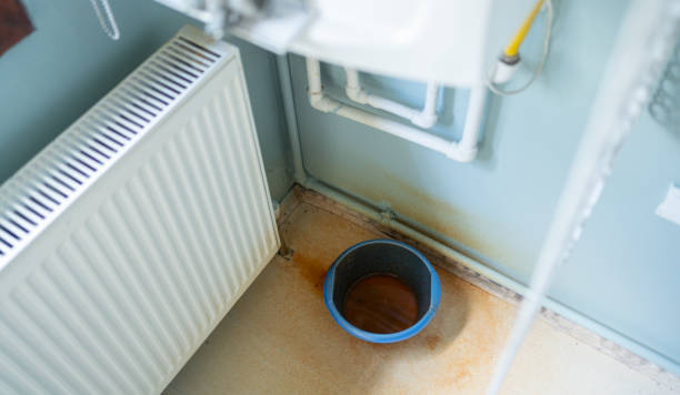 Best Flooded house restoration  in West Park, FL