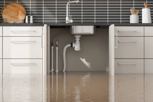 Best Fire Damage Restoration  in West Park, FL