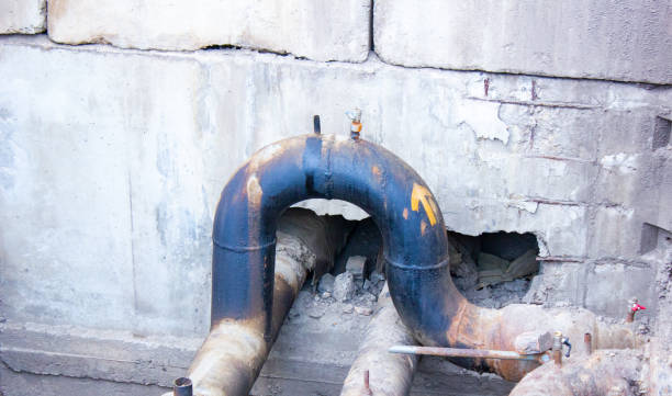 Best Basement water damage restoration  in West Park, FL